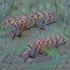 n01692333 Gila monster, Heloderma suspectum